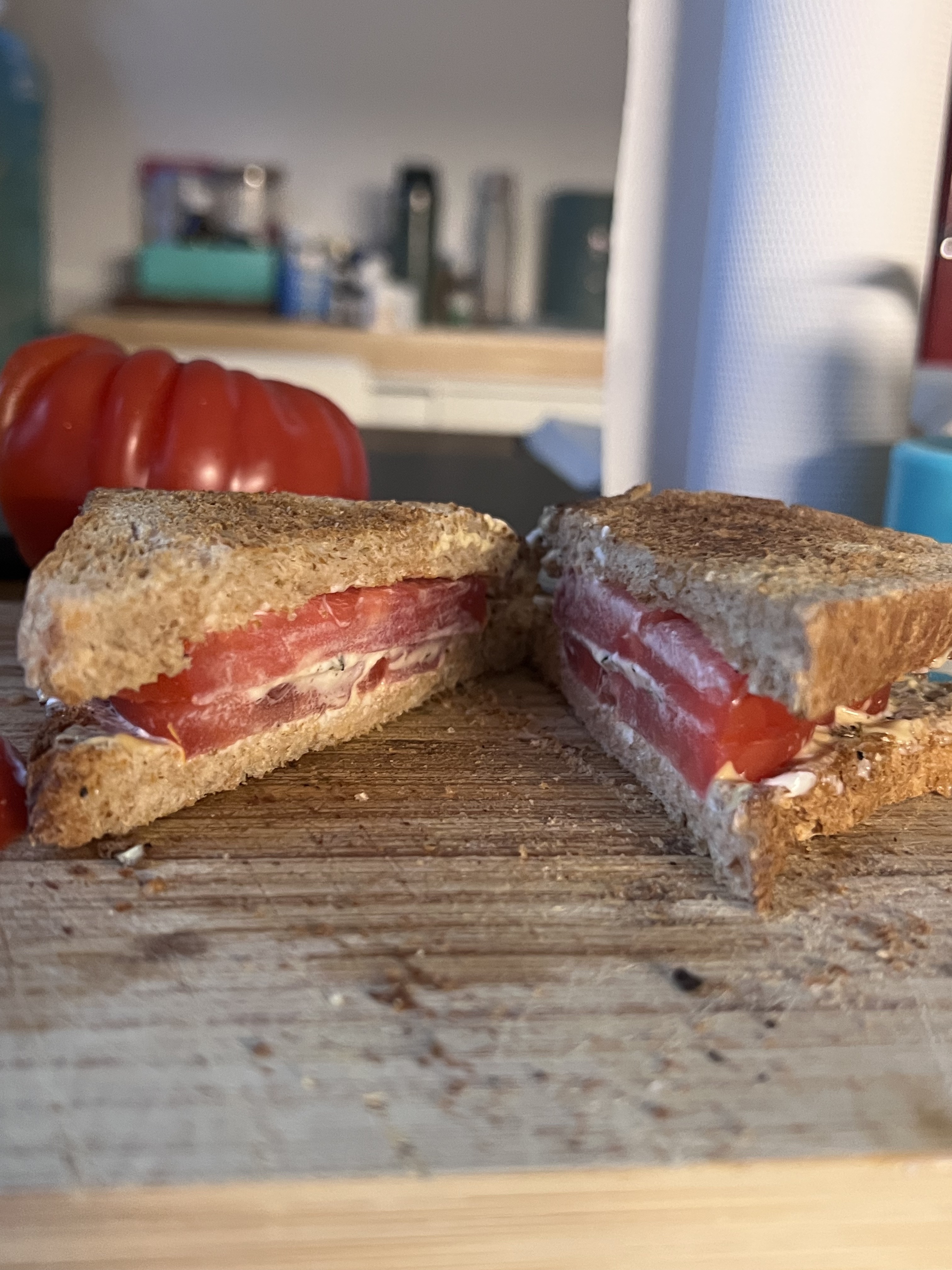 Tomato Sandwich, photo 3